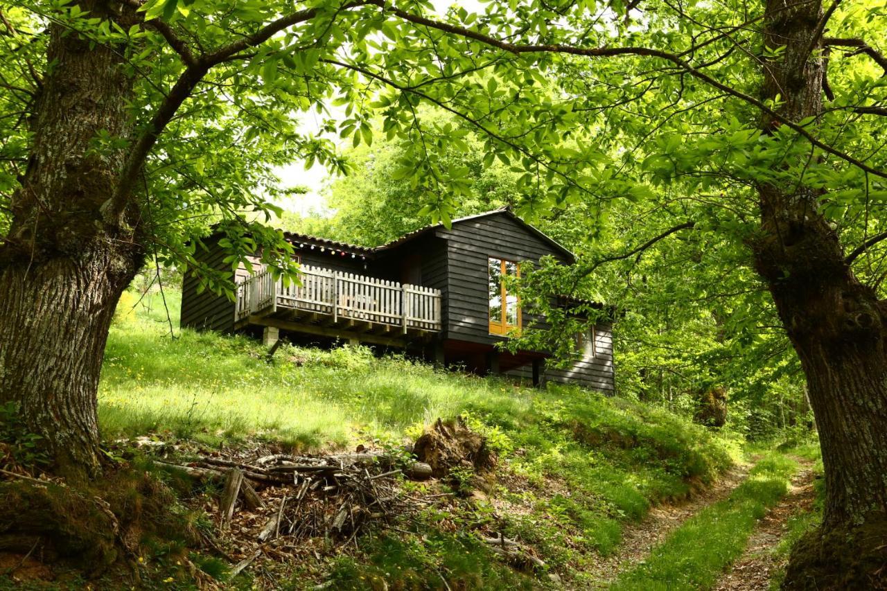 Les Grangeonnes, Gites Nature, Piscine, Bain Nordique, Sauna Pour Accueil Familiale Ou De Groupe Saint-Basile Exterior foto